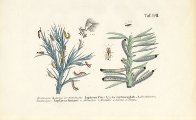  by J. W. Tenhaeff