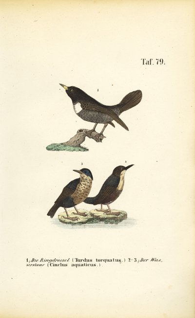  by J. W. Tenhaeff