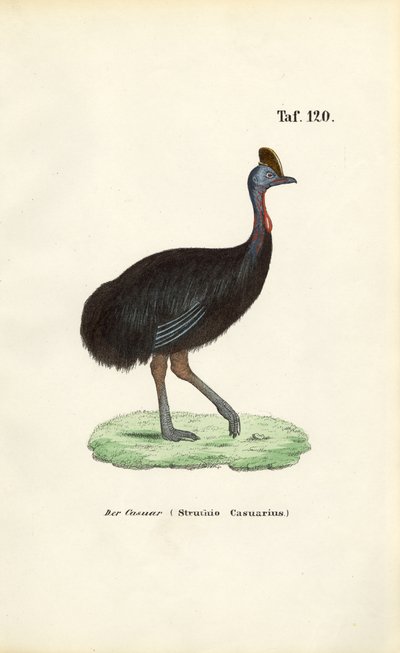  by J. W. Tenhaeff