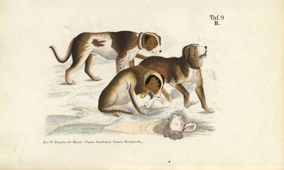  by J. W. Tenhaeff