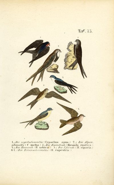  by J. W. Tenhaeff
