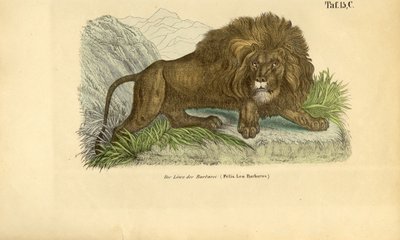  by J. W. Tenhaeff