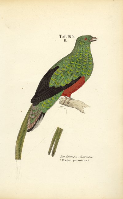  by J. W. Tenhaeff