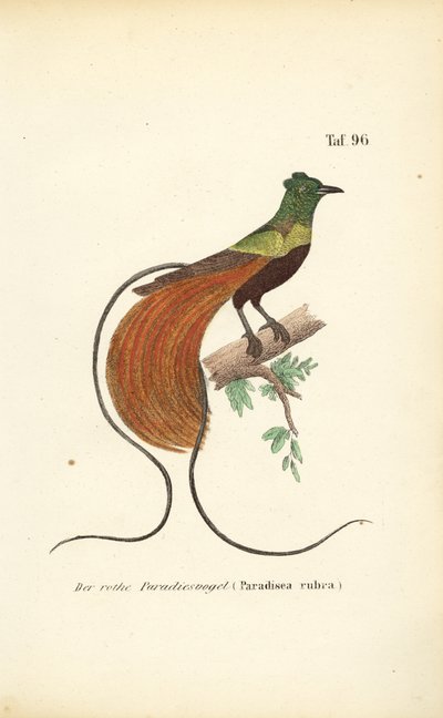  by J. W. Tenhaeff