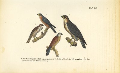  by J. W. Tenhaeff