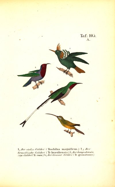  by J. W. Tenhaeff