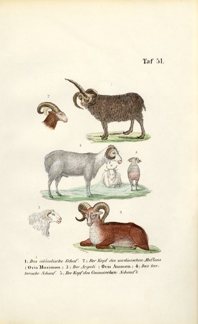 by J. W. Tenhaeff