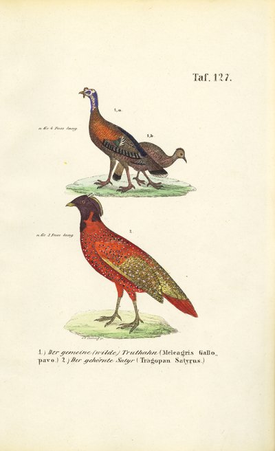  by J. W. Tenhaeff