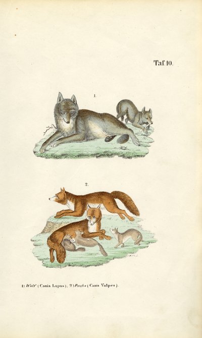  by J. W. Tenhaeff