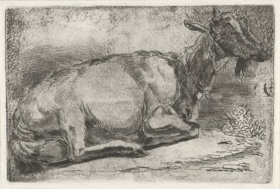 yalancı keçi by Jabes Heenck