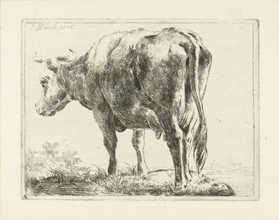ayakta inek by Jabes Heenck