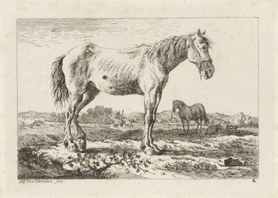 Bir manzarada duran at Çeşitli ustaların çizimlerinden sonra altı baskı (seri başlığı) by Jacob Elias van Varelen