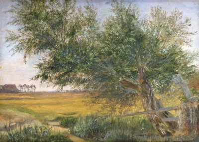 The Old Tree, 1842 (kart üzerine monte edilmiş kağıt üzerine yağlı boya) by Jacob Gensler