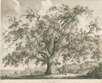 Tutbury - "Wych Elm": gravür, nd [c 1820] by Jacob George Strutt