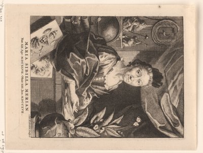 Portret van Maria Sibylla Merian Maria Sibylla Merian (nesne üzerindeki başlık) by Jacob Houbraken