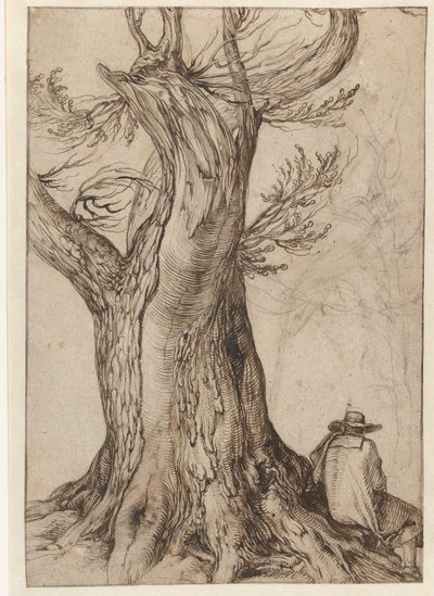 Bir ağaç gövdesinin incelenmesi by Jacob II de Gheyn