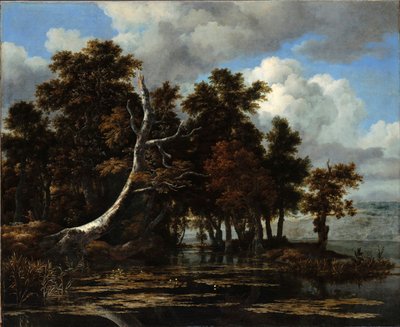 ""Meşe ve Nilüferli Gölde" Tablo Jacob Isaacksz van Ruisdael (1628/29-1682) Tuval üzerine yağlı boya Sönük 116.6x142 cm Staatliche Museen, Berlin by Jacob van Ruisdael