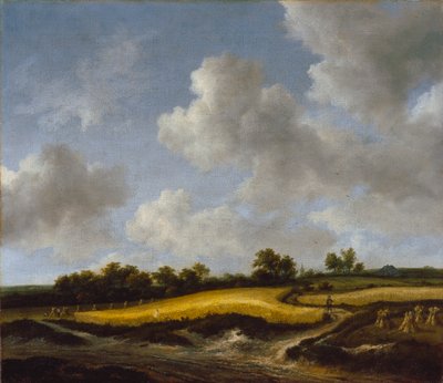 Buğday Tarlası ile Manzara, c.1660 by Jacob van Ruisdael