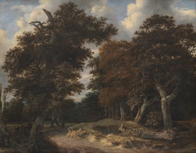 Meşe Ormanı boyunca yol by Jacob van Ruisdael