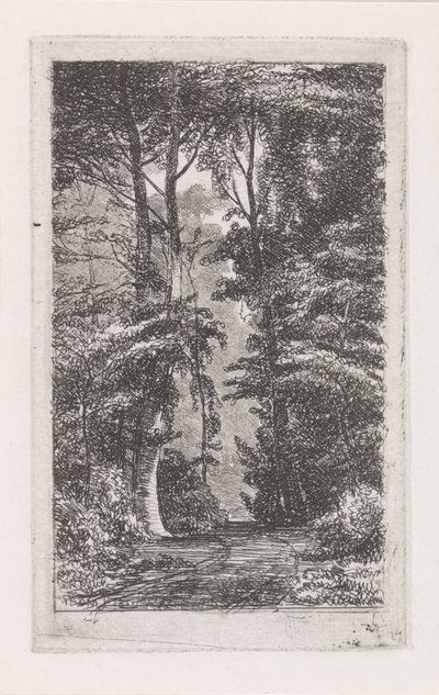 boslaanca by Jacob Jan van der Maaten