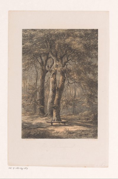 Jacoba çardak Jakoba çardağı (nesne üzerindeki başlık) by Jacob Jan van der Maaten