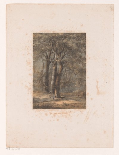 Jacoba çardak Jakoba çardağı (nesne üzerindeki başlık) by Jacob Jan van der Maaten