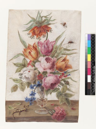 Kertenkele ve böceklerle çiçekler içeren Venedik cam kadehi, 1634 (parşömen üzerine guaj) by Jacob Marrel