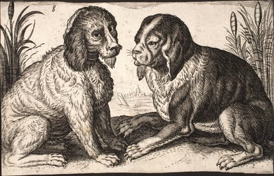Bir göl kenarında iki köpek by Jacob Matham