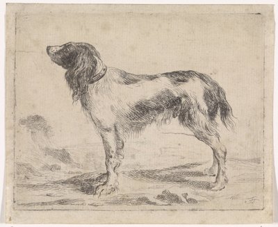 ayakta köpek Köpekler (dizi adı) by Jacob Toorenvliet