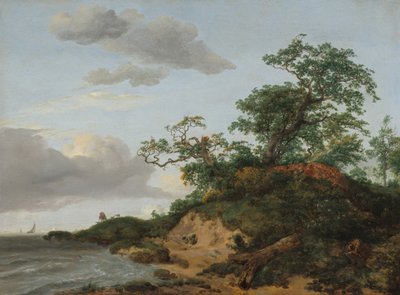 Deniz Kenarındaki Kum Tepeleri, 1648. by Jacob van Ruisdael