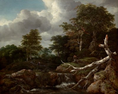 Orman Manzarası, c. 1655. by Jacob van Ruisdael