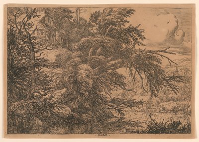 Tepedeki Sazdan Kulübe by Jacob van Ruisdael