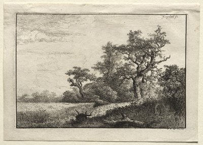 Buğday Tarlası by Jacob van Ruisdael