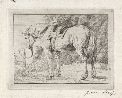 Bir direğe bağlı eyerli at by Jacob van Strij