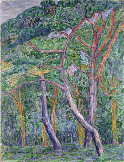 Çam ağaçları by Jacoba van Heemskerck