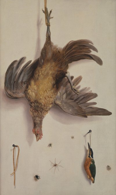 Bir İpte Sarkan Tavuk ve Yalıçapkını by Jacobus Biltius