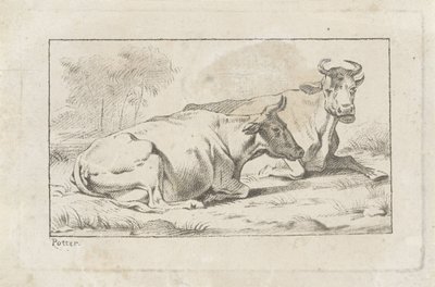 iki yalancı inek by Jacobus Buys