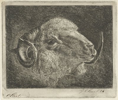 Boynuzlu bir koç başı geri döndü by Jacobus Cornelis Gaal (signed by artist)