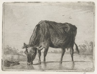 içme ineği by Jacobus Cornelis Gaal