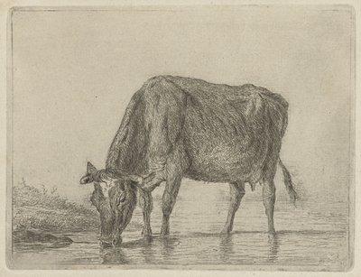 içme ineği by Jacobus Cornelis Gaal