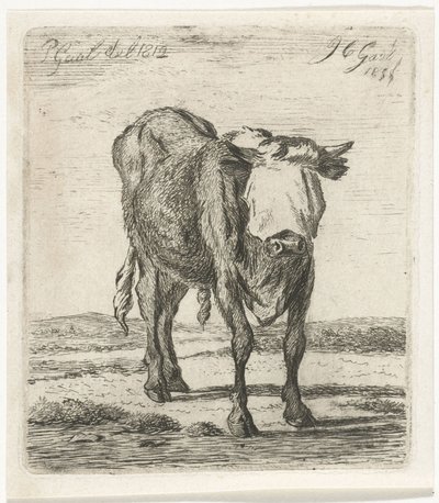 gözleri bağlı boğa by Jacobus Cornelis Gaal
