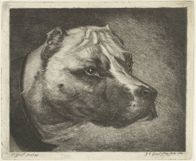 Yakalı köpek kafası by Jacobus Cornelis Gaal
