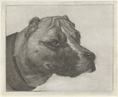Yakalı köpek kafası by Jacobus Cornelis Gaal