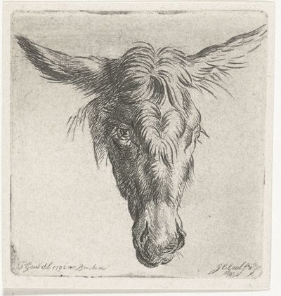 bir eşek başkanı by Jacobus Cornelis Gaal