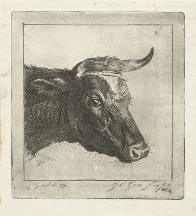 Boynuzlarının etrafında ip olan bir inek başı by Jacobus Cornelis Gaal