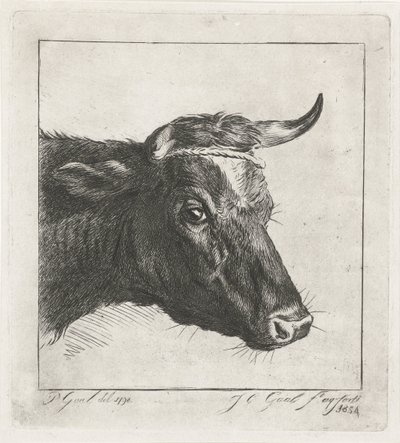 Boynuzlarının etrafında ip olan bir inek başı by Jacobus Cornelis Gaal