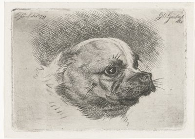 Bir pug başkanı by Jacobus Cornelis Gaal