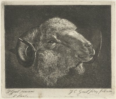 Ram