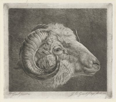 Göze doğru kavisli boynuzlu bir koç başı by Jacobus Cornelis Gaal