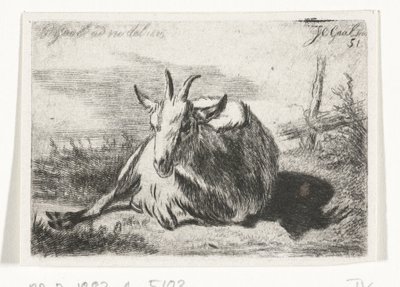 Yalancı keçi, sola by Jacobus Cornelis Gaal
